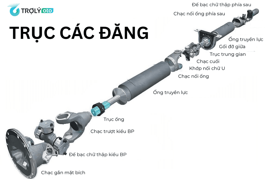 Cấu tạo trục các đăng