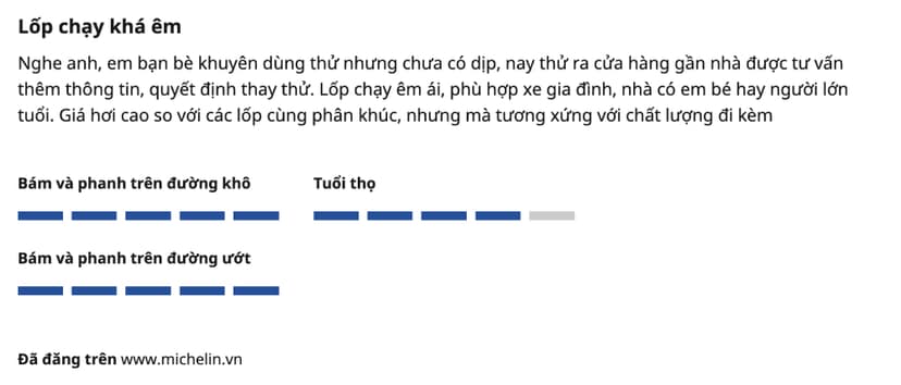 Một khách hàng nhận xét lốp Michelin Energy XM2+ có giá cao hơn mặt bằng chung nhưng tương xứng với chất lượng
