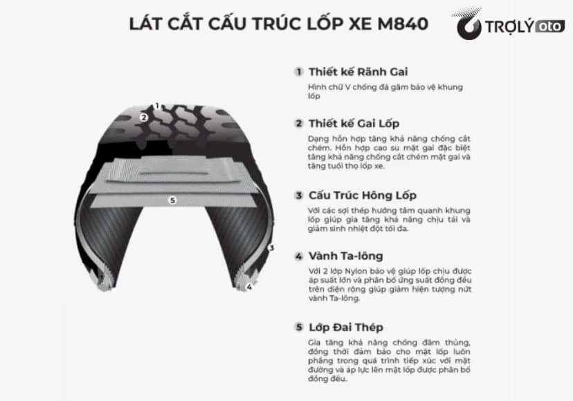 Lát cắt chi tiết cấu trúc lốp xe tải Bridgestone M840