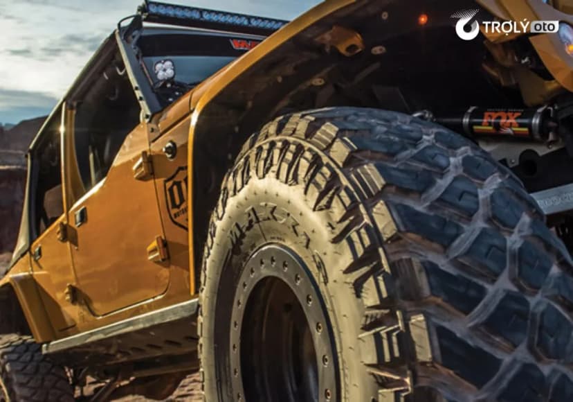 Lốp Maxxis sẽ phù hợp hơn với những chủ xe cần nhiều lựa chọn theo điều kiện vận hành