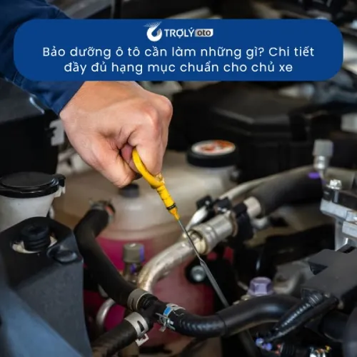 Bảo dưỡng ô tô cần làm những gì