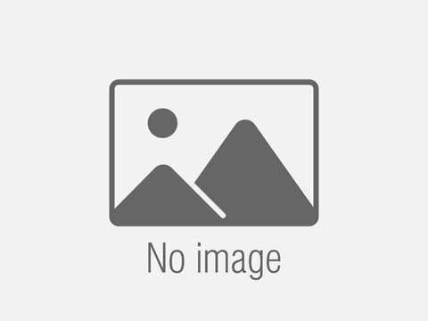 Gạt Mưa sau khung mềm Bosch Rear 12" H308